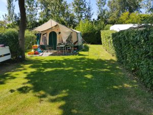 Groene camping met kampeertent